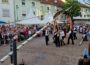 Frühling eingeläutet – Maibaum steht auf dem Rathausplatz